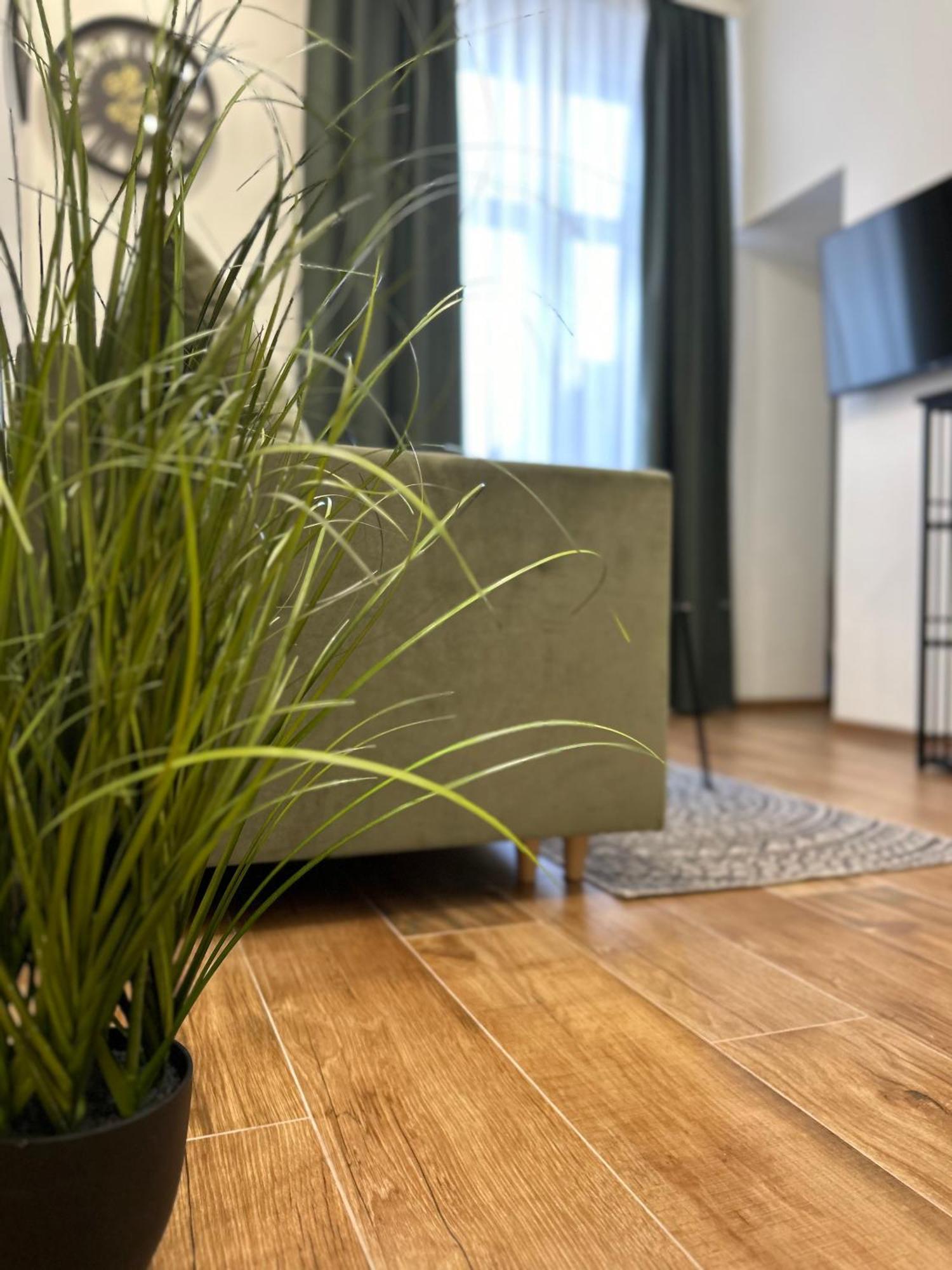 Apartament Krasinskiego بشيميش المظهر الخارجي الصورة